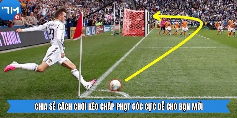 Chia sẻ cách chơi kèo chấp phạt góc cực dễ cho bạn mới