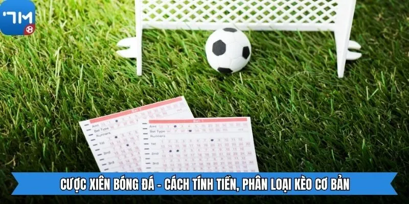 Cược Xiên Bóng Đá - Cách Tính Tiền, Phân Loại Kèo Cơ Bản