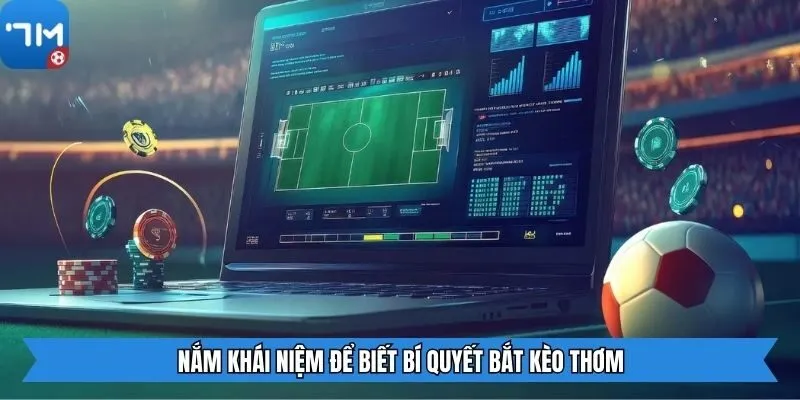 Nắm khái niệm để biết bí quyết bắt kèo thơm