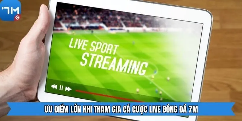 Ưu điểm lớn khi tham gia cá cược live bóng đá 7M
